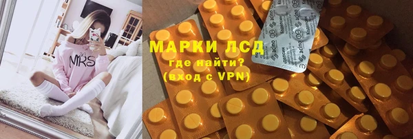 ПСИЛОЦИБИНОВЫЕ ГРИБЫ Бронницы
