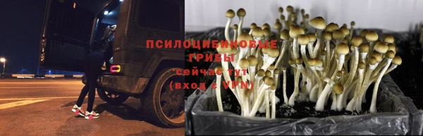 Альфа ПВП Богданович