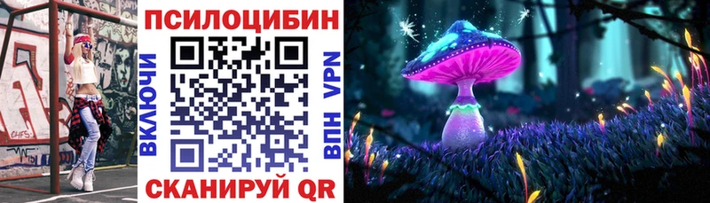 купить закладку  Элиста  Галлюциногенные грибы мухоморы 